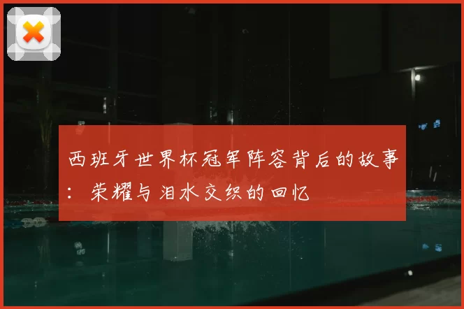 西班牙世界杯冠军阵容背后的故事：荣耀与泪水交织的回忆