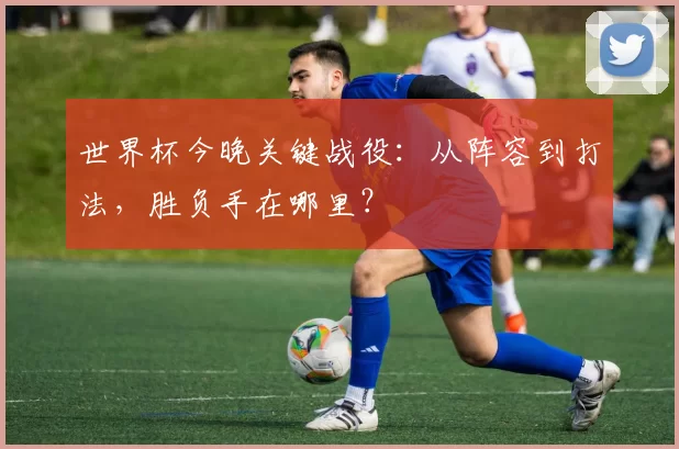 世界杯今晚关键战役:从阵容到打法,胜负手在哪里?