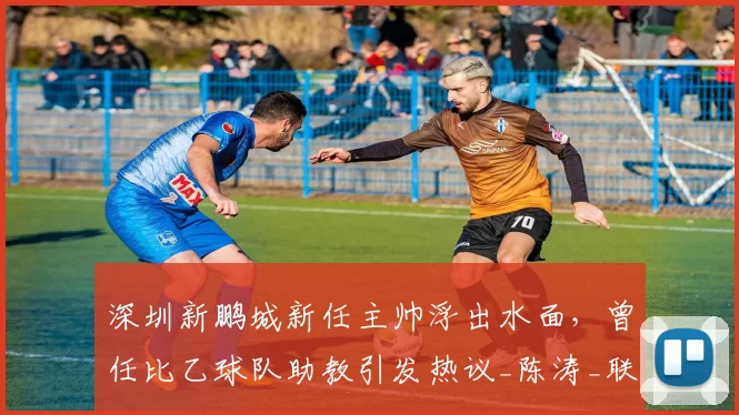 深圳新鹏城新任主帅浮出水面，曾任比乙球队助教引发热议_陈涛_联赛_球迷