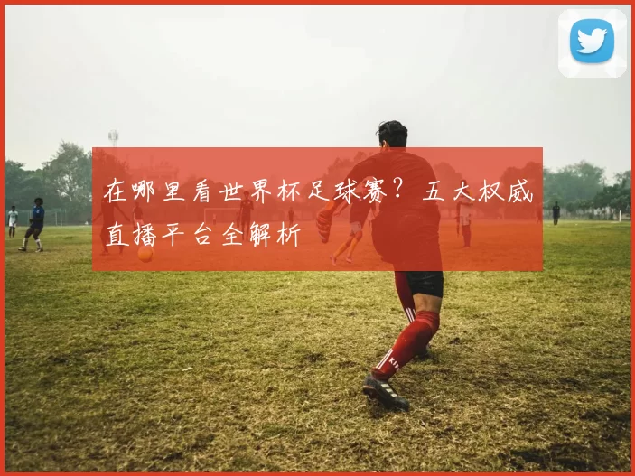 在哪里看世界杯足球赛？五大权威直播平台全解析