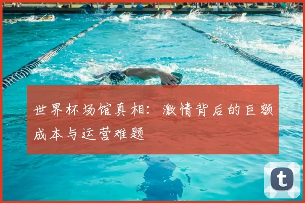 世界杯场馆真相:激情背后的巨额成本与运营难题
