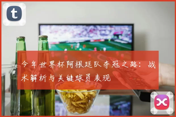 今年世界杯阿根廷队夺冠之路：战术解析与关键球员表现