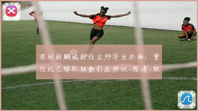 深圳新鹏城新任主帅浮出水面，曾任比乙球队助教引发热议_陈涛_联赛_球迷
