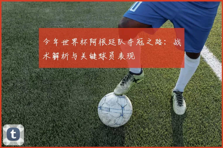 今年世界杯阿根廷队夺冠之路：战术解析与关键球员表现