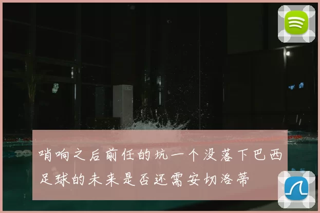 哨响之后前任的坑一个没落下巴西足球的未来是否还需安切洛蒂