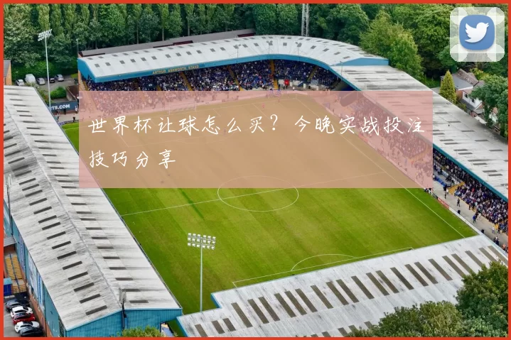 世界杯让球怎么买？今晚实战投注技巧分享