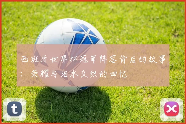 西班牙世界杯冠军阵容背后的故事:荣耀与泪水交织的回忆