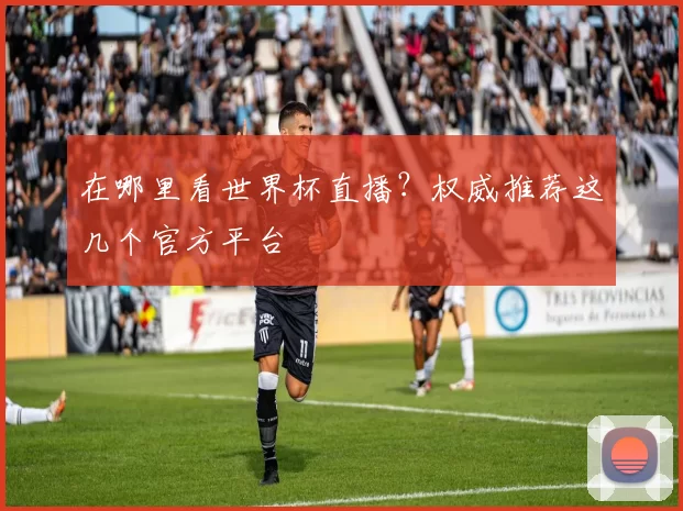在哪里看世界杯直播？权威推荐这几个官方平台