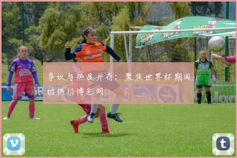 争议与热度并存:聚焦世界杯期间的热门博彩网